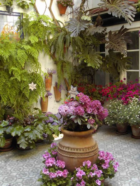 Archivo:Patio de la calle Maese Luis, 22 (2011).JPG