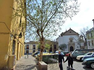 Plaza de las Cañas.jpg