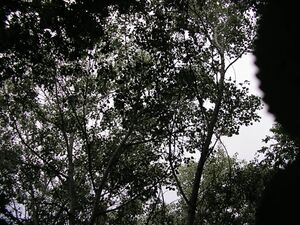 Vistas lugar IV.jpg