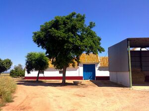 Molinoquiñones3 (Large).jpg