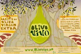 Logo - Olivo Vivo SCA.jpeg