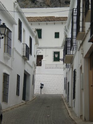 Calle Mina.JPG