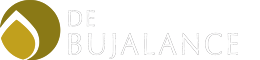 Logo - Debujalance SL.png