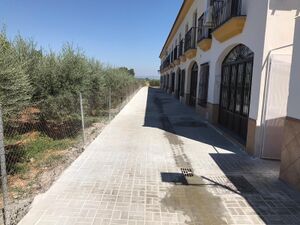 Calle Molino Santa Ana.jpg