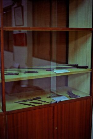 11 Museo 1980.jpg