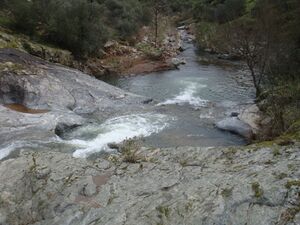 Charco del Aliso.jpg