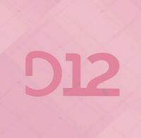 Logo - Pub D12.jpg