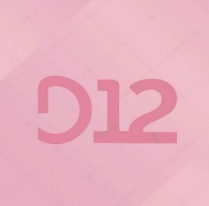Logo - Pub D12.jpg