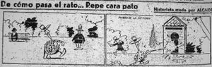 Carapato 2.JPG