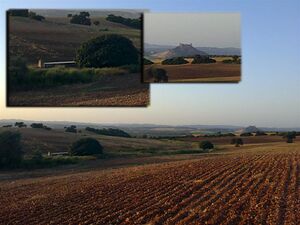 Fuentealjania4 (Large).JPG