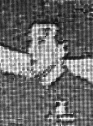 Joaquín de Cárdenas Llavaneras.JPG