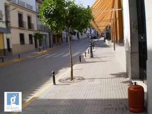 Calle barrios.jpg