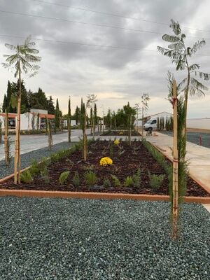 Cementerio FP 2019 2.jpg