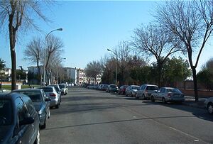Calle Federación de Peñas-2.jpg