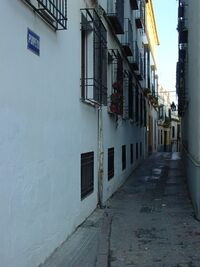 Callepompeyos.JPG