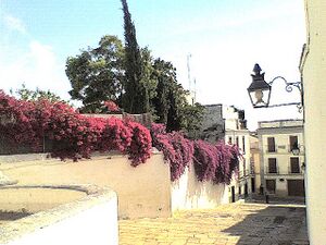 Cuesta del Bailio 2.jpg