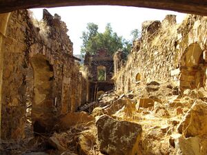 DSC02534 (Large).JPG