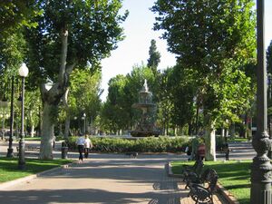 PlatanoSombra(4).jpg