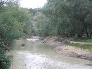 Aceña 2007.JPG