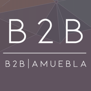 Logo - B2B Amuebla.png