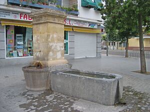 Fuente de la Plaza de la Iglesia (3).jpg
