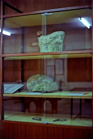 08 Museo 1980.jpg