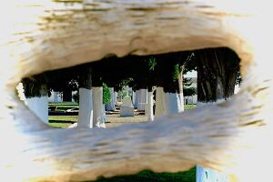 Cementerio-2019-Fuente-Palmera2.jpg