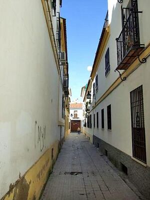 CallePleitineros01.jpg