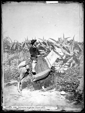 Niño cordobés con asno (1860).jpg
