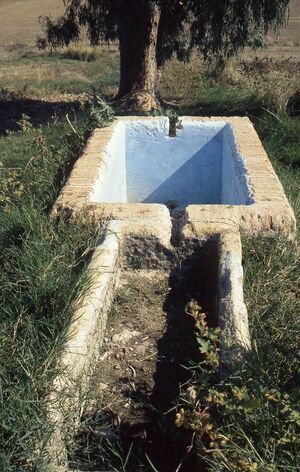 1 Manantial de la Polvorila 1998-1999.jpg