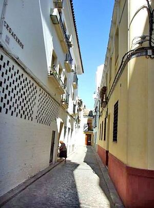CalleCedaceros01.jpg