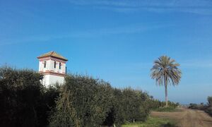 Cortijo de Madroñeros-enero2017-3.jpg