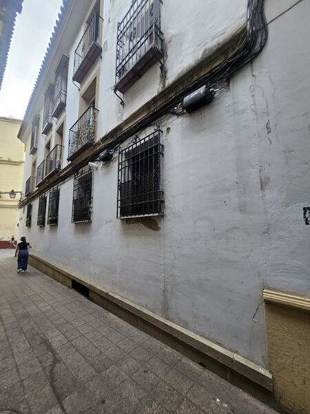 Archivo:20260423 201232.jpg