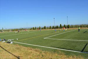 Campo fútbol Silillos.jpg