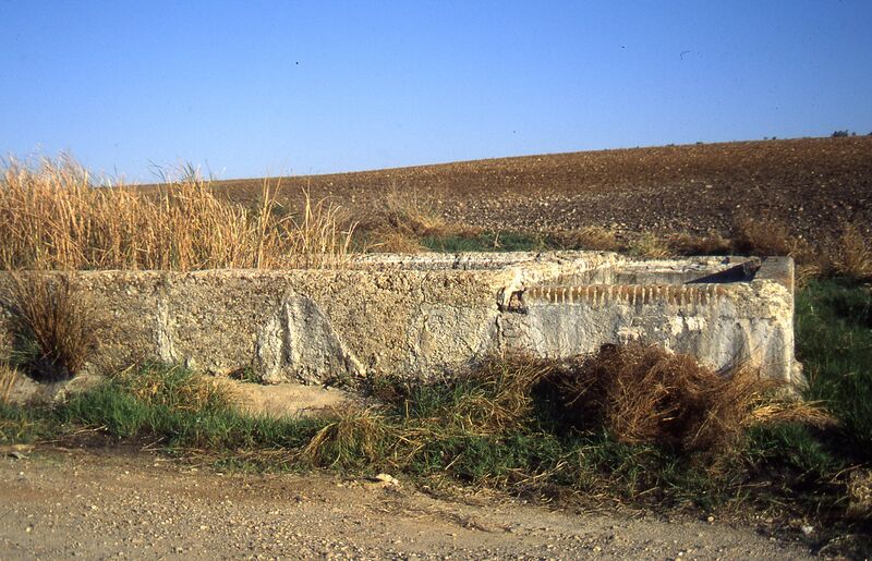 Archivo:Pilar la Algaba 2.jpeg
