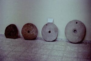 12 Museo 1980.jpg