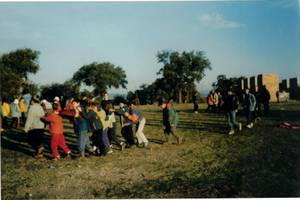 Asociacion Cigueña Arroyones.png