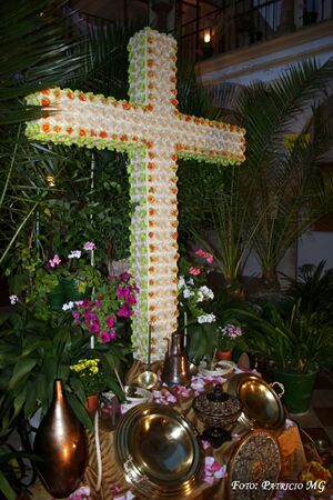 Cruces 2008 027.jpg