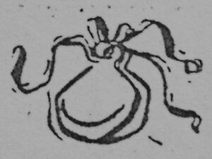 Castañuelas I.jpg