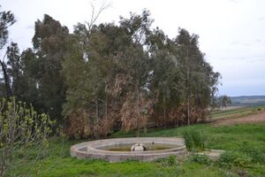 Fuente Parrilla 2022.jpg