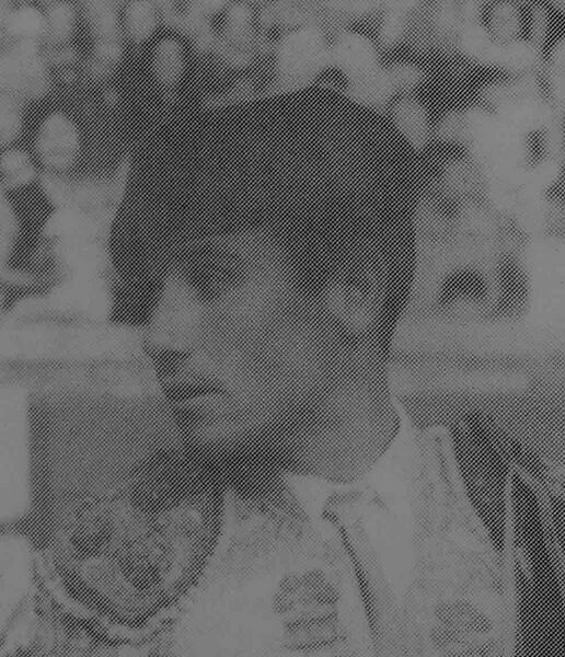 Archivo:Cachorro II.jpg