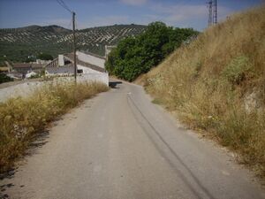 IMG 0426.JPG