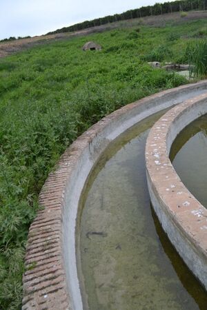 Fuente Parrilla 2022 2.jpg