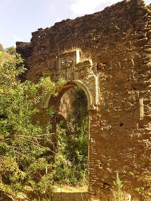 DSC03768 (Large).JPG