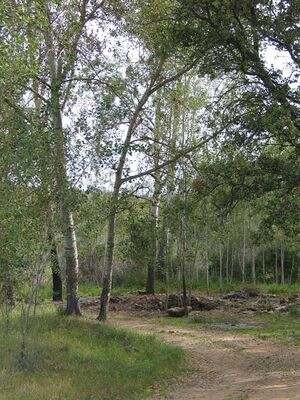 Fuente-del-Viñon.jpg