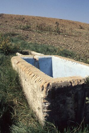 2 Manantial de la Polvorila 1998-1999.jpg