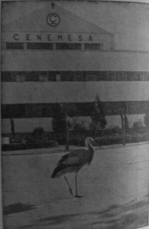 Grupo de Empresa CENEMESA V.jpg