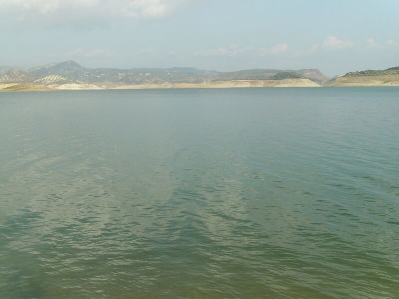 Archivo:Fotos2007 093.jpg