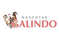 Logo - Jos Galindo E Hijos SL.jpg