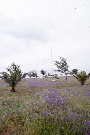Parque Villar siglo XX.jpeg
